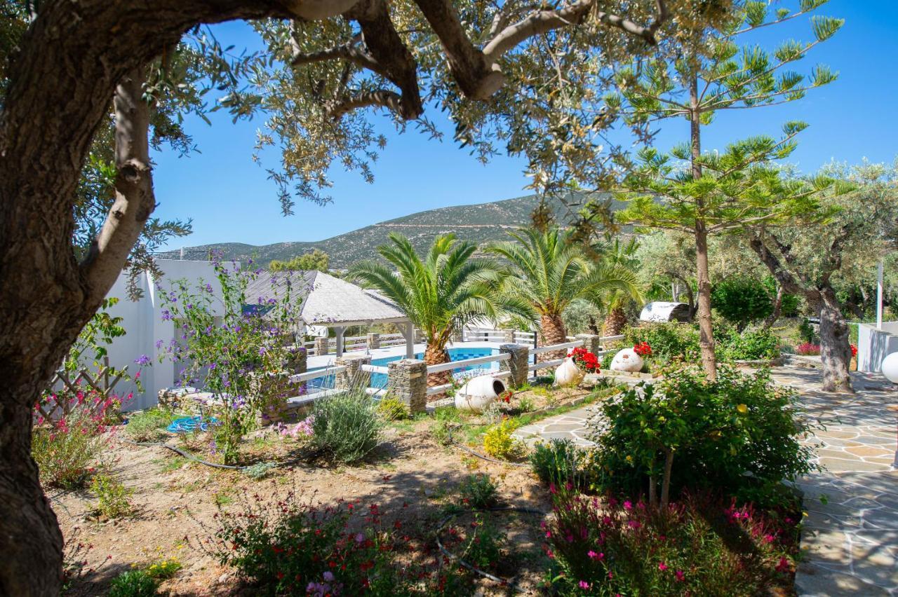 Appartement Irini Platis Gialos (Sifnos)
